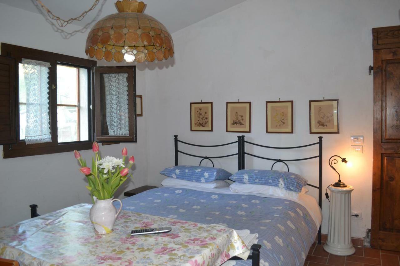 Podere Badia Valdrago Agriturismo Mugello Circuit 斯卡尔佩里亚 外观 照片