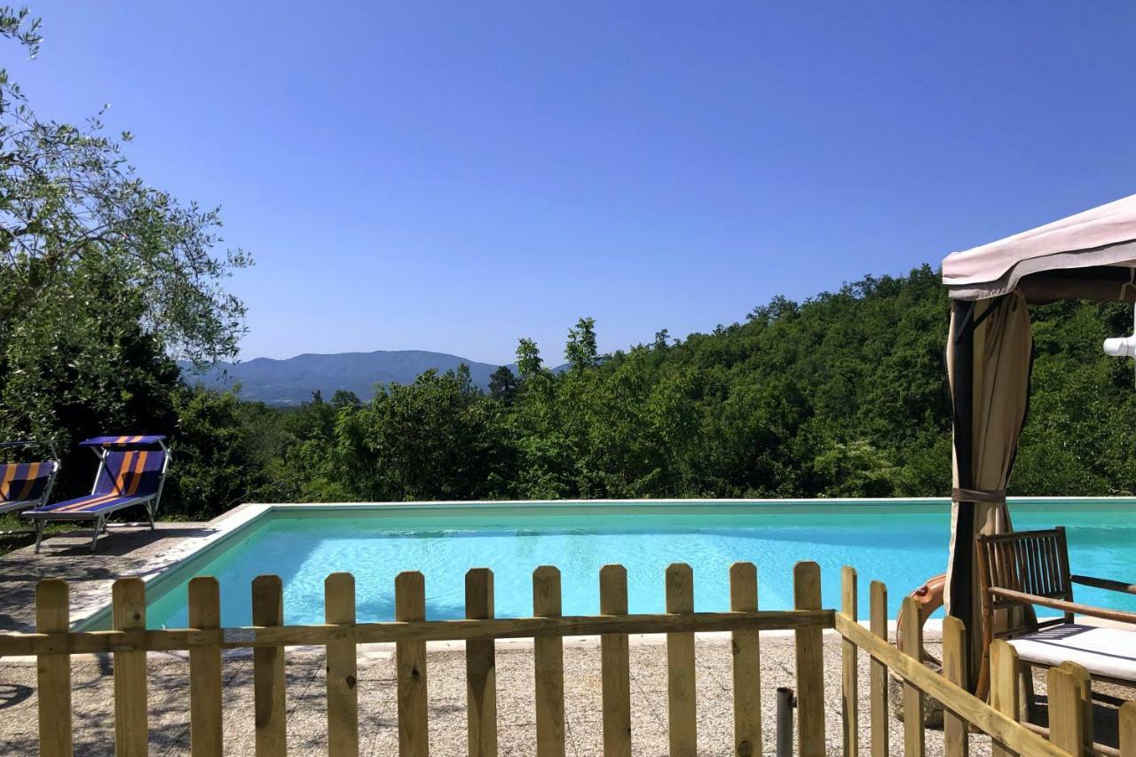 Podere Badia Valdrago Agriturismo Mugello Circuit 斯卡尔佩里亚 外观 照片