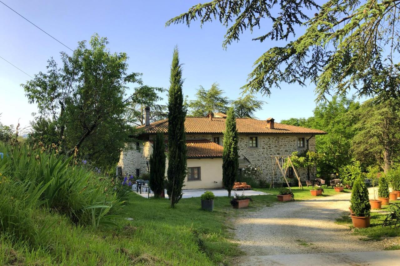 Podere Badia Valdrago Agriturismo Mugello Circuit 斯卡尔佩里亚 外观 照片