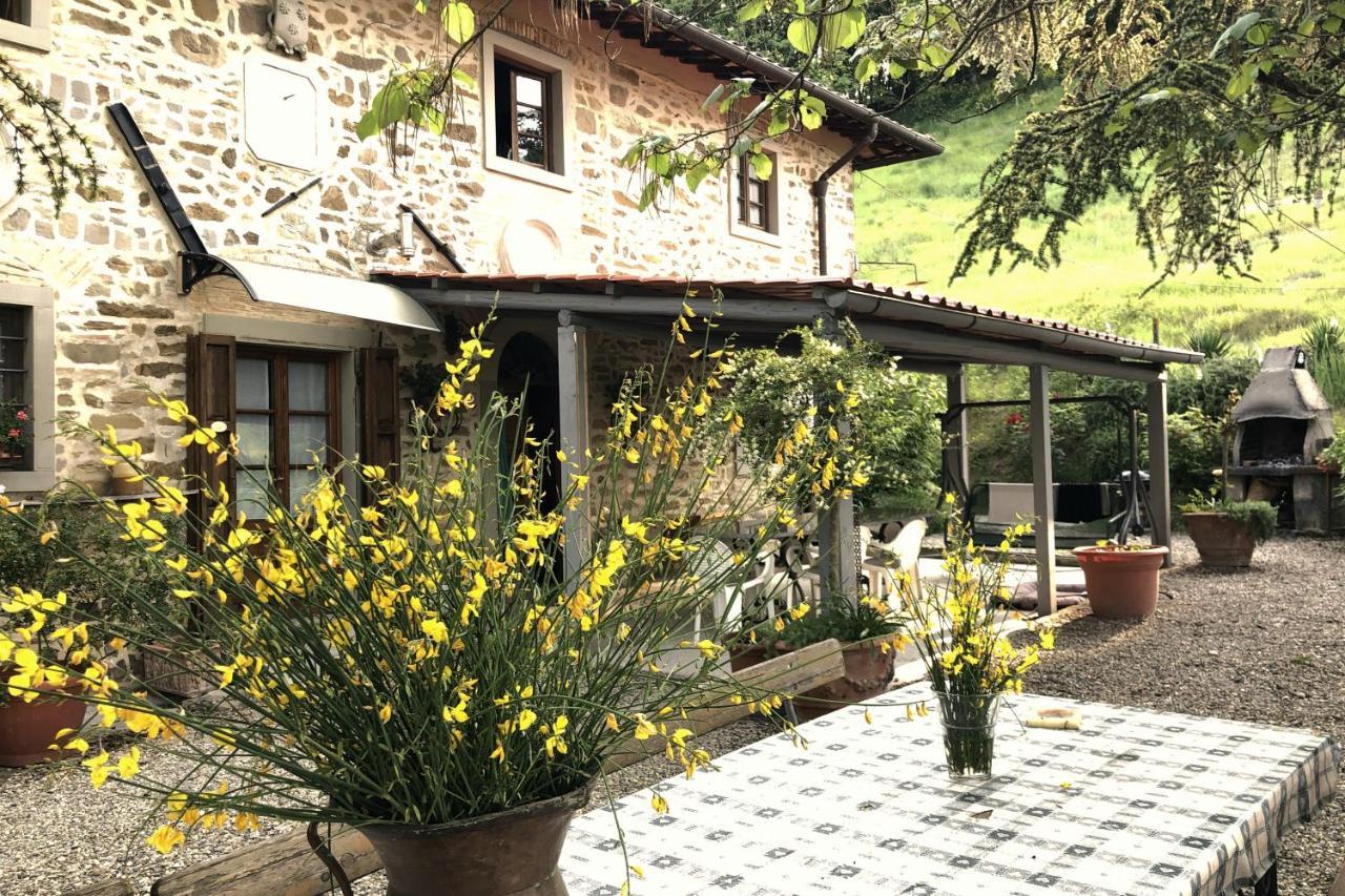 Podere Badia Valdrago Agriturismo Mugello Circuit 斯卡尔佩里亚 外观 照片