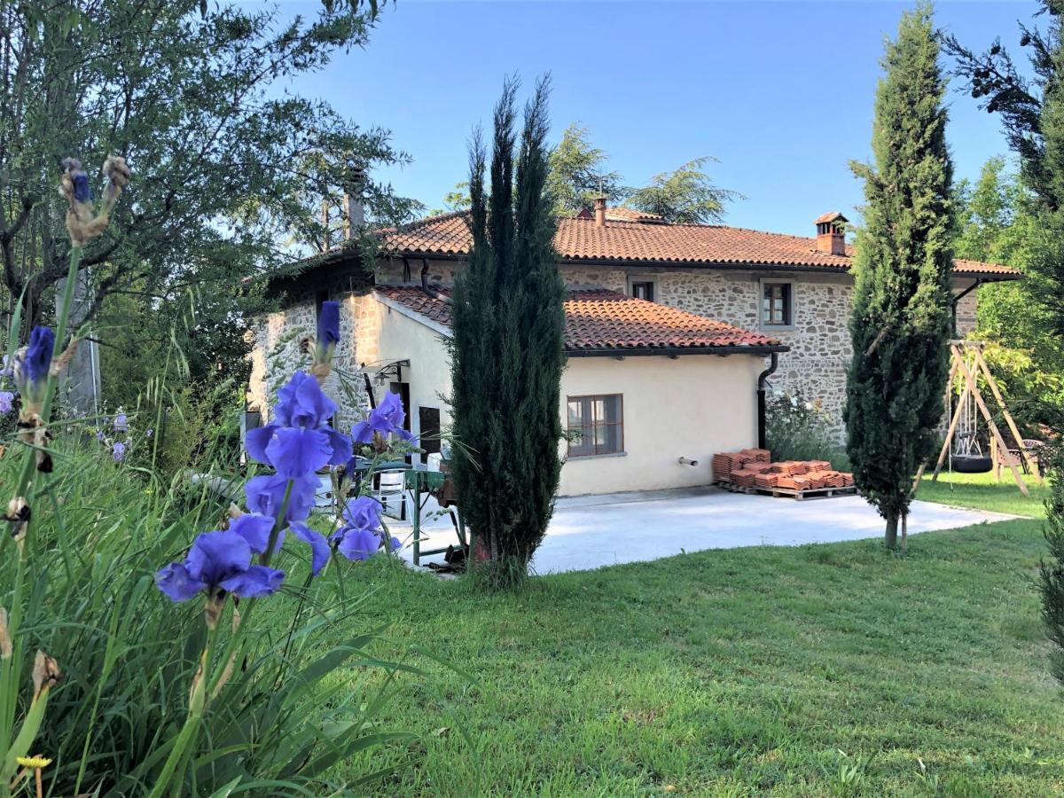 Podere Badia Valdrago Agriturismo Mugello Circuit 斯卡尔佩里亚 外观 照片